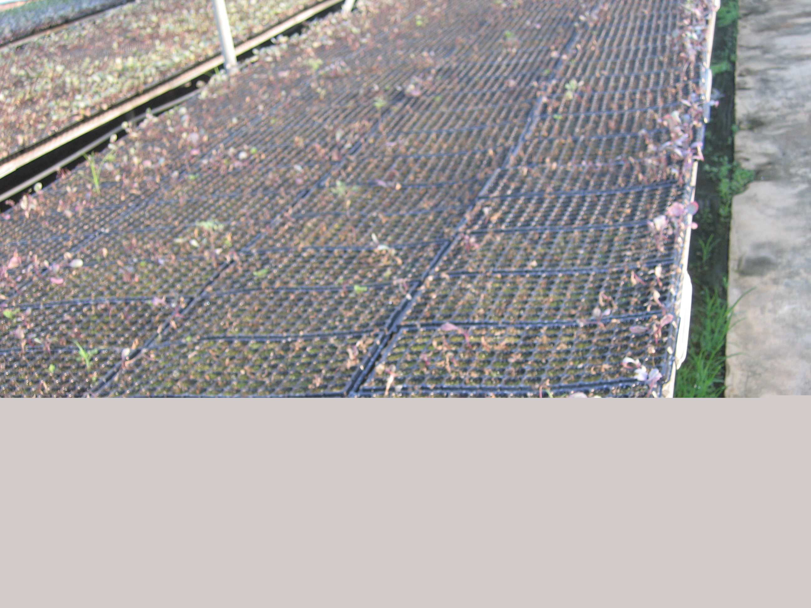 2012 새해 농업인 실용교육(남원농협)